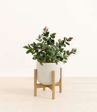 Load image into Gallery viewer, Natural Bamboo stand:bamboo