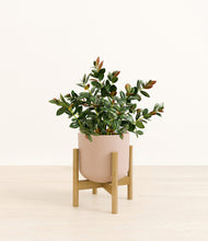 Load image into Gallery viewer, Sandy Pink stand:bamboo