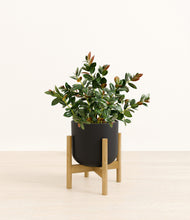 Load image into Gallery viewer, Stone Black stand:bamboo