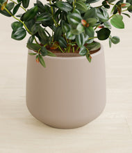 Load image into Gallery viewer, Eternal Gray stand:all