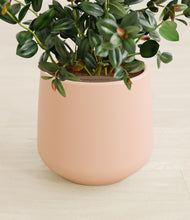 Load image into Gallery viewer, Gentle Pink stand:all