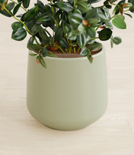 Load image into Gallery viewer, Turquoise stand:all