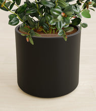 Load image into Gallery viewer, Black stand:all