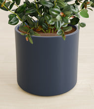 Load image into Gallery viewer, Deep Navy stand:all