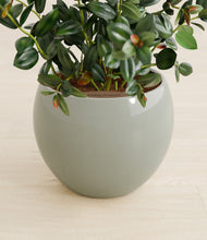 Load image into Gallery viewer, Deep Ocean stand:all