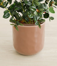 Load image into Gallery viewer, Hammered Peach Pink stand:all