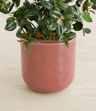 Load image into Gallery viewer, Hammered Rose Pink stand:all