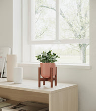 Load image into Gallery viewer, Striped Rose Pink stand:walnut
