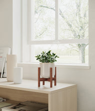 Load image into Gallery viewer, Snowdrift White stand:walnut