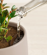 Load image into Gallery viewer, Eternal Gray stand:all