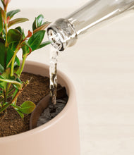 Load image into Gallery viewer, Gentle Pink stand:all