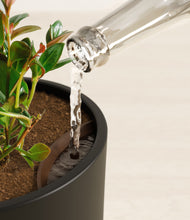 Load image into Gallery viewer, Black stand:all