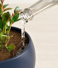 Load image into Gallery viewer, Deep Navy stand:all