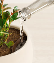 Load image into Gallery viewer, Shiny EggWhite stand:all