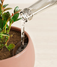 Load image into Gallery viewer, Calm Rose stand:all