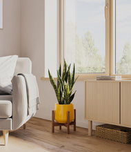 Load image into Gallery viewer, Mustard stand:walnut