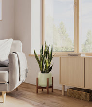 Load image into Gallery viewer, Turquoise stand:walnut