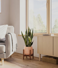 Load image into Gallery viewer, Calm Rose stand:walnut