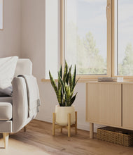 Load image into Gallery viewer, Almond Green stand:bamboo