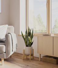 Load image into Gallery viewer, Eternal Gray stand:bamboo