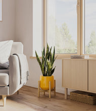 Load image into Gallery viewer, Mustard stand:bamboo