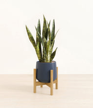 Load image into Gallery viewer, Deep Navy stand:bamboo