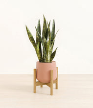 Load image into Gallery viewer, Calm Rose stand:bamboo