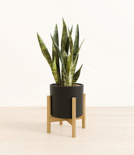 Load image into Gallery viewer, Black stand:bamboo