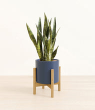 Load image into Gallery viewer, Deep Navy stand:bamboo