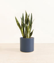 Load image into Gallery viewer, Deep Navy*****Profile