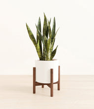 Load image into Gallery viewer, White stand:walnut