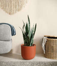 Load image into Gallery viewer, Earth Red