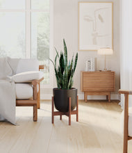 Load image into Gallery viewer, Stone Black stand:walnut