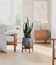 Load image into Gallery viewer, Iron Gray stand:walnut