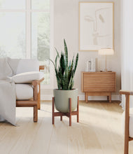 Load image into Gallery viewer, Sage Green stand:walnut