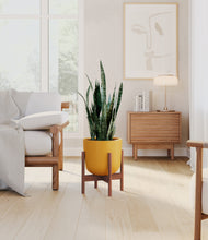 Load image into Gallery viewer, Sunset Orange stand:walnut