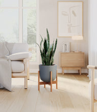 Load image into Gallery viewer, Iron Gray stand:bamboo