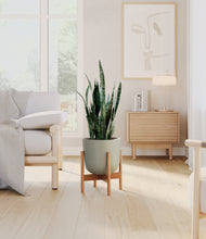 Load image into Gallery viewer, Sage Green stand:bamboo