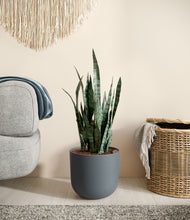 Load image into Gallery viewer, Iron Gray