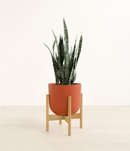 Load image into Gallery viewer, Earth Red stand:bamboo