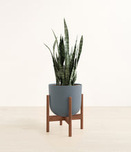 Load image into Gallery viewer, Iron Gray stand:walnut