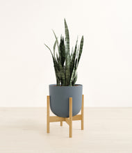 Load image into Gallery viewer, Iron Gray stand:bamboo