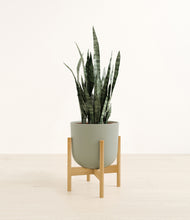 Load image into Gallery viewer, Sage Green stand:bamboo