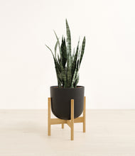 Load image into Gallery viewer, Stone Black stand:bamboo