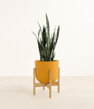Load image into Gallery viewer, Sunset Orange stand:bamboo