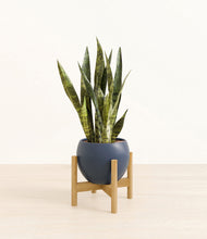 Load image into Gallery viewer, Deep Navy stand:bamboo
