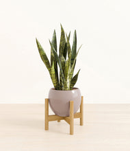 Load image into Gallery viewer, Winter Clouds stand:bamboo