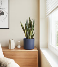 Load image into Gallery viewer, Deep Navy