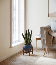 Load image into Gallery viewer, Deep Navy stand:walnut