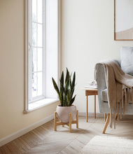 Load image into Gallery viewer, Desert Brown stand:bamboo